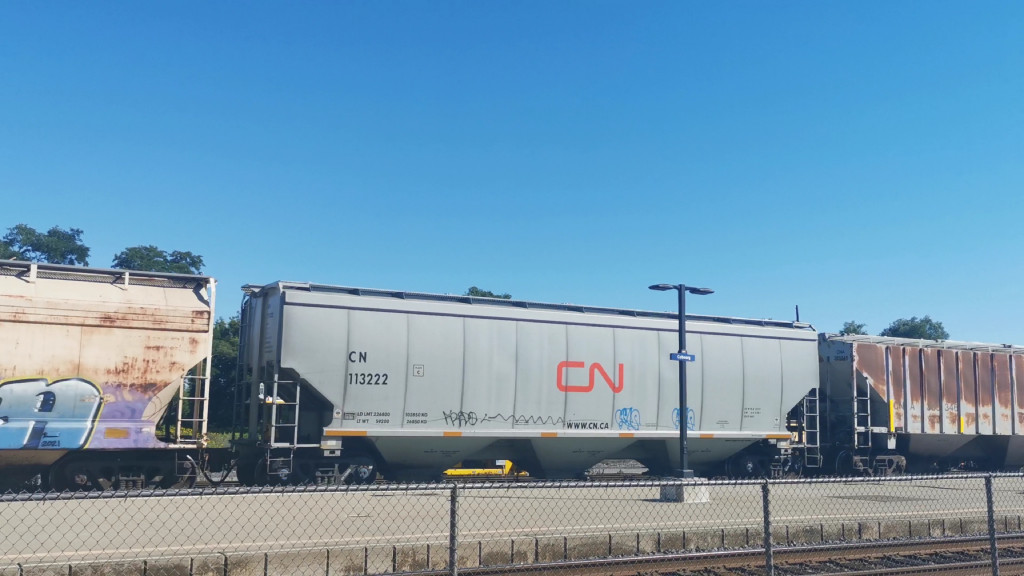 CN 113222